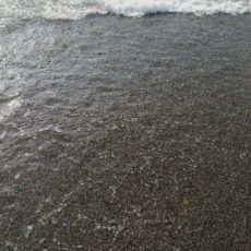 Chi siamo