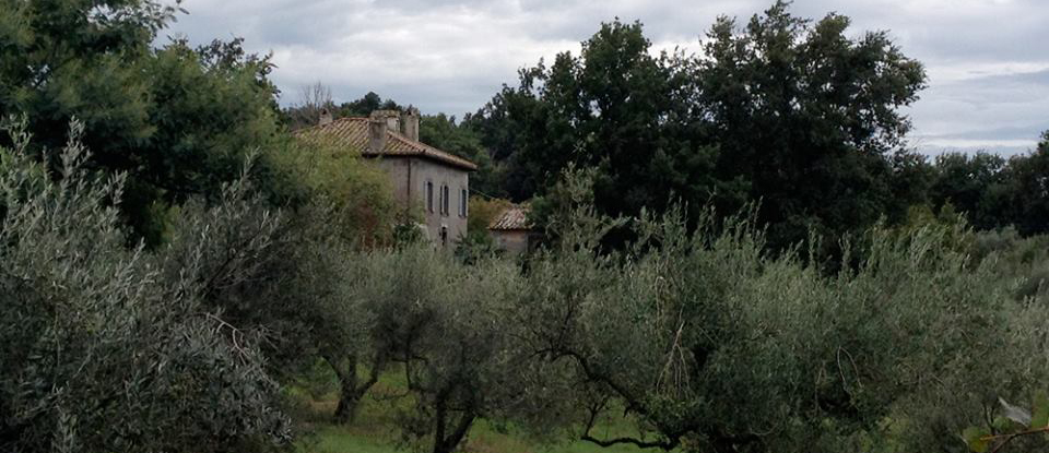 casale fagianello e ulivi